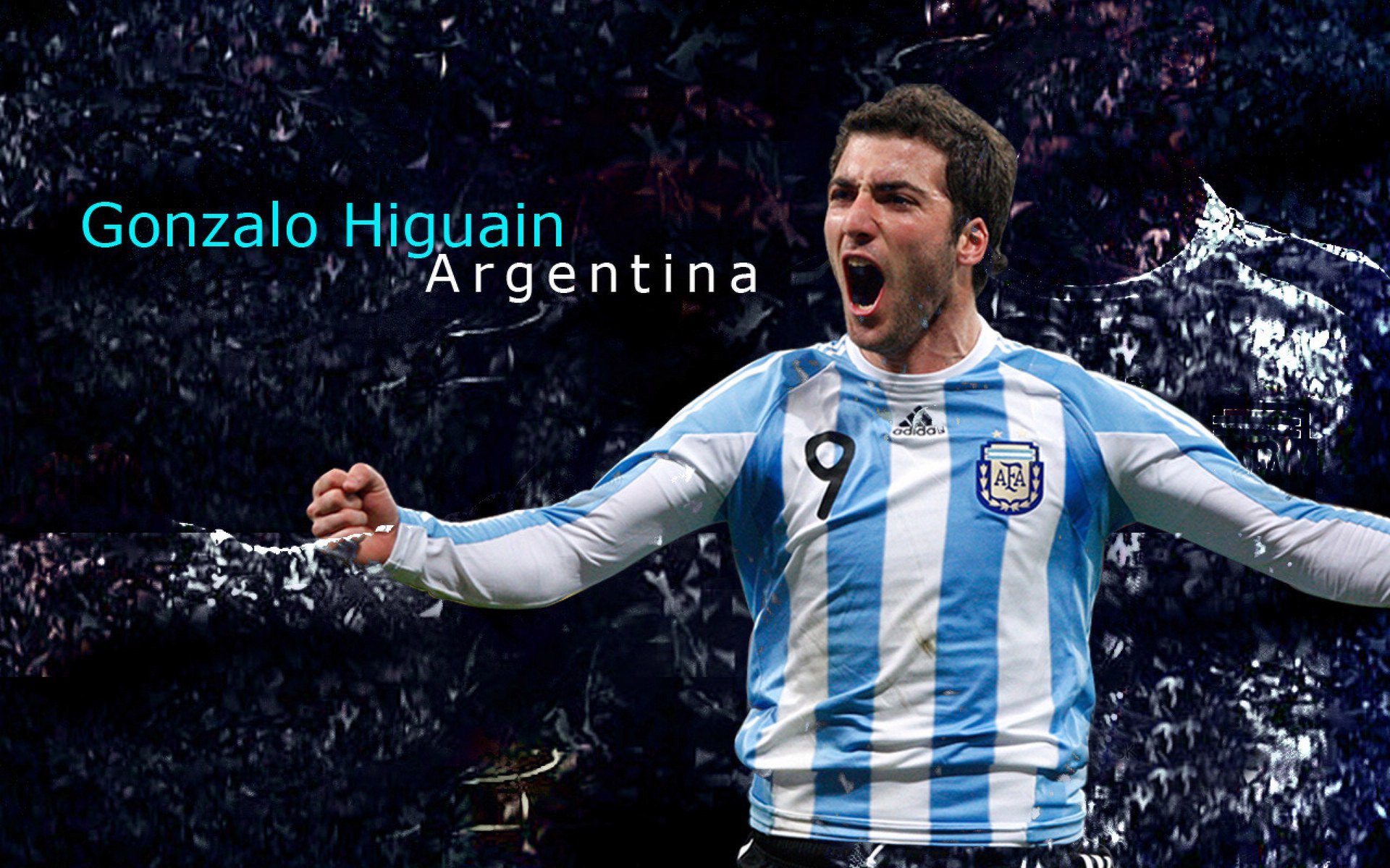 绿色环保足球场推广，助力可持续发展目标，足球场绿化